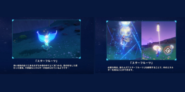 スターフルーツ_Tips